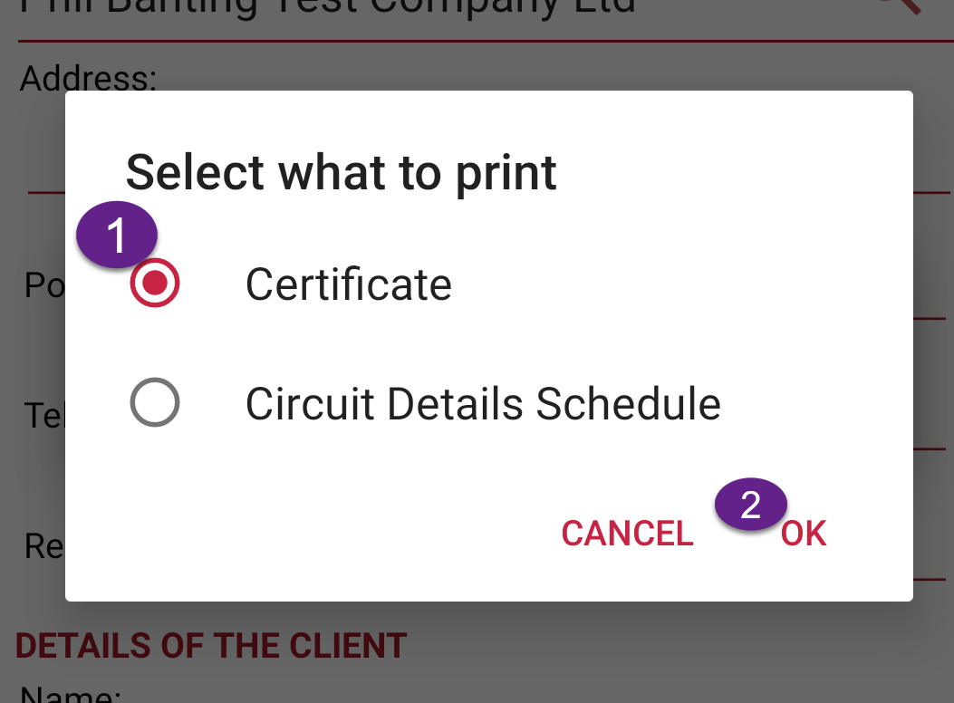 select what to print options